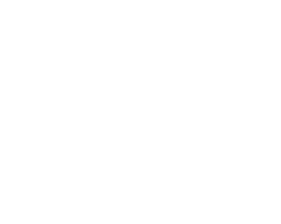 The Little Gym